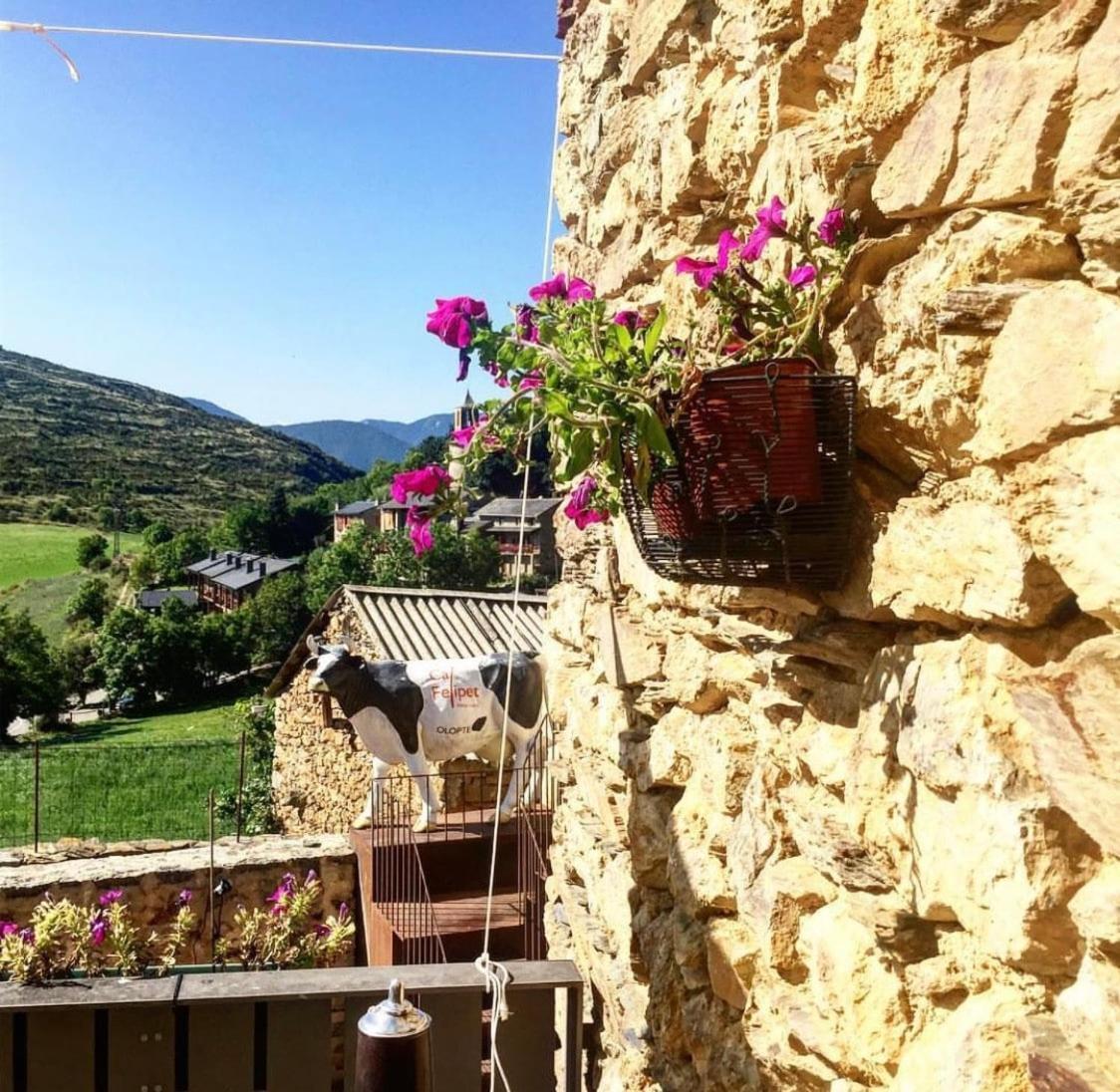 Preciosa Casa Rural Cal Felipet En Olopte-Cerdanya ภายนอก รูปภาพ